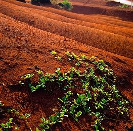 EA：《战地》仍是我们未来重要的组成部分